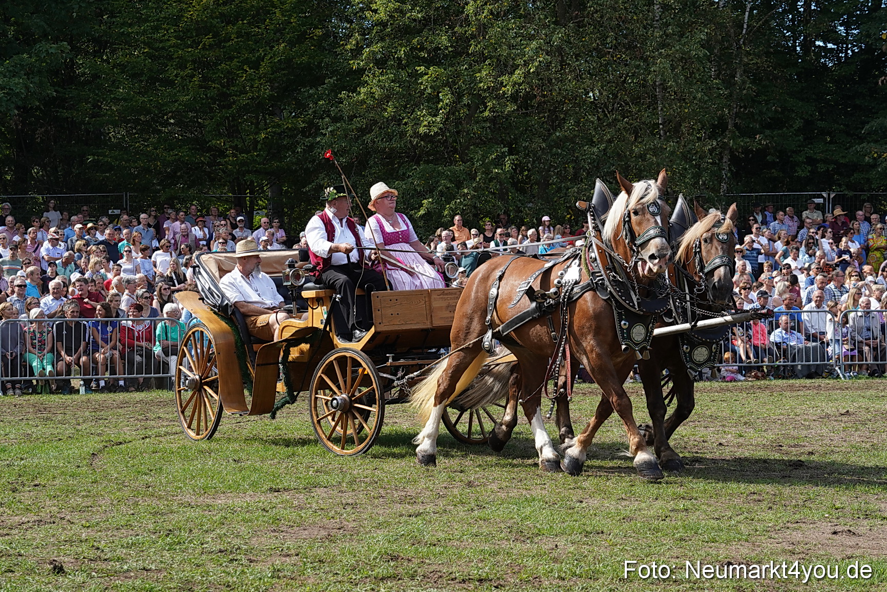 Pferde und Fohlenschau 2022 0225 